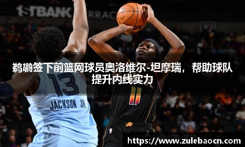 鹈鹕签下前篮网球员奥洛维尔-坦摩瑞，帮助球队提升内线实力