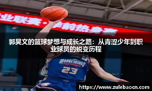 333体育官网登录