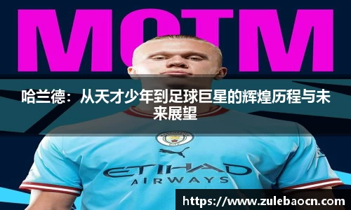 333体育官网登录