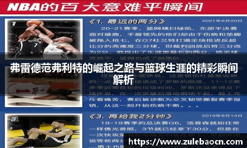 333体育官网登录