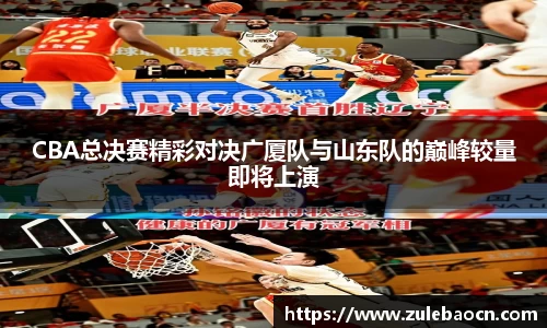 333体育官网登录