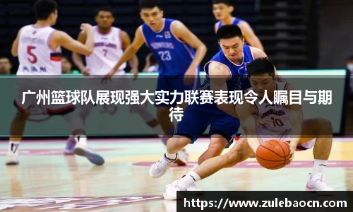 333体育官网登录