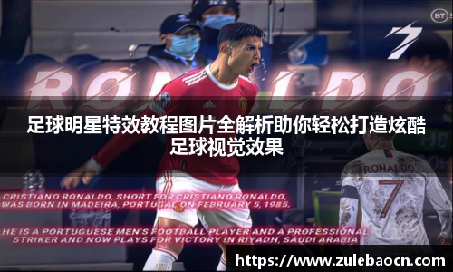 333体育官网登录